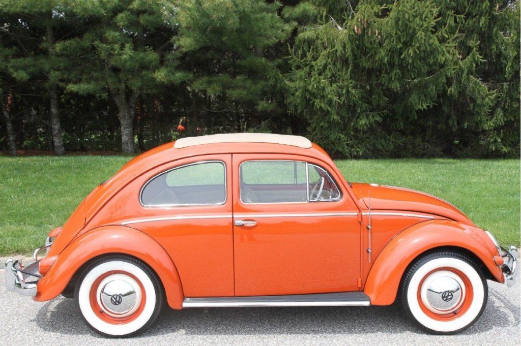 OUTSTANDING 1956 Volkswagen Beetle